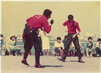 館藏編號:NCP2020-013-0181的藏品圖