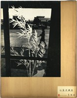 館藏編號:NCP2020-013-0185的藏品圖