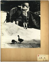 館藏編號:NCP2020-013-0187的藏品圖