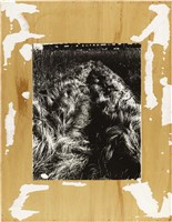 館藏編號:NCP2020-013-0195的藏品圖