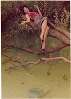 館藏編號:NCP2020-013-0237的藏品圖