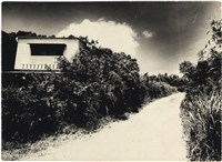 藏品(戶外架高木構鐵皮建築，其旁小路和植物)的圖片