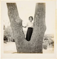 藏品(李悌欽120印樣8)的圖片