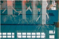 藏品(小相冊4(編號4) )的圖片