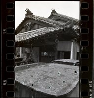 藏品(李悌欽135底片卷15)的圖片