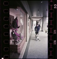 藏品(李悌欽135底片卷20)的圖片