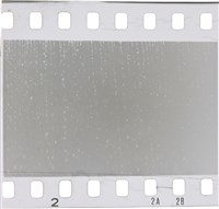 藏品(李悌欽135底片卷33)的圖片