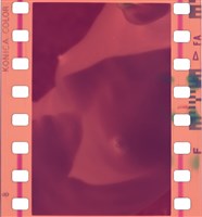 藏品(李悌欽135底片卷45)的圖片