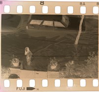 藏品(李悌欽135底片卷51)的圖片