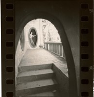 藏品(李悌欽135印樣19)的圖片