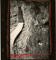 藏品(李悌欽135印樣24)的圖片