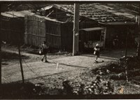 藏品(李悌欽135印樣26)的圖片