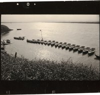 藏品(李悌欽135印樣30)的圖片