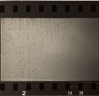 藏品(李悌欽135印樣33)的圖片