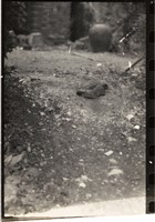 藏品(李悌欽135印樣36)的圖片