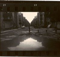 藏品(李悌欽135印樣50)的圖片