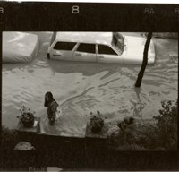 藏品(李悌欽135印樣51)的圖片