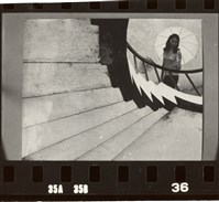 藏品(李悌欽135印樣53)的圖片