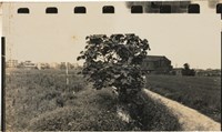 藏品(李悌欽135印樣67)的圖片