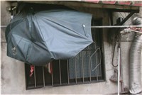 藏品(李悌欽4X6照片24)的圖片