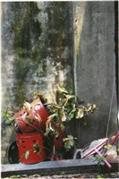 藏品(李悌欽4X6照片25)的圖片