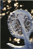 藏品(李悌欽4X6照片26)的圖片