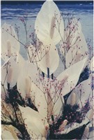 藏品(李悌欽4X6照片29)的圖片