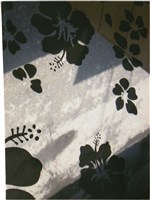 藏品(李悌欽小張照片5)的圖片