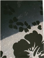 藏品(李悌欽小張照片6)的圖片