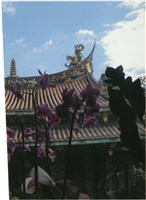 藏品(李悌欽小張照片9)的圖片