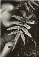 藏品(鄧南光3吋黑白相片2)的圖片