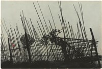 藏品(社子)的圖片