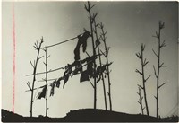 藏品(新店)的圖片