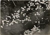 藏品(鄉土連作4/4 )的圖片