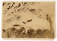 藏品(南台灣的原住民)的圖片