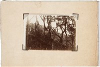 藏品(台東廳卑南上陸寫真帖(新城事件 1896)封面)的圖片