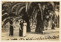 藏品(「臺灣美人」趣味の小型寫真)的圖片