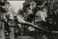 藏品(張才系列作品-5：〈台北圓山動物園〉)的圖片