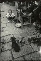 藏品(張才系列作品-6)的圖片