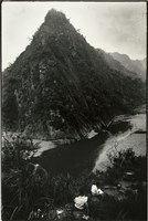 藏品(張才系列作品-7)的圖片