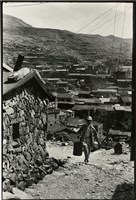 藏品(張才系列作品-8)的圖片