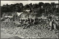 藏品(張才系列作品-15)的圖片