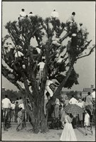 藏品(張才系列作品-19：〈觀看運動會〉)的圖片