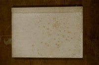 藏品(無名寫真帖2 (象鼻部落))的圖片