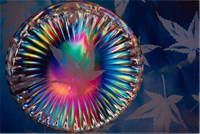 藏品(「交集與干涉」系列4：〈交容〉)的圖片