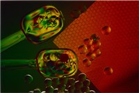 藏品(「交集與干涉」系列7：〈奉獻〉)的圖片