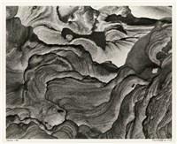 藏品(「磐古」系列 02)的圖片