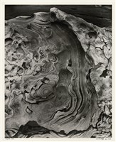 藏品(「磐古」系列 20)的圖片