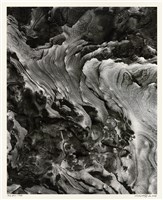 藏品(「磐古」系列 21)的圖片