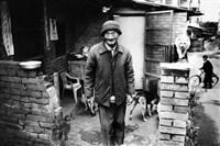 藏品(《行過幽谷》：〈榮患一號葉學文是個靦腆的老人，曾養了不少的流浪狗、貓〉)的圖片